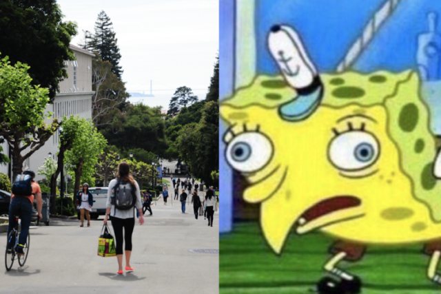 Jurusan Meme (Foto: Teen Vogue)