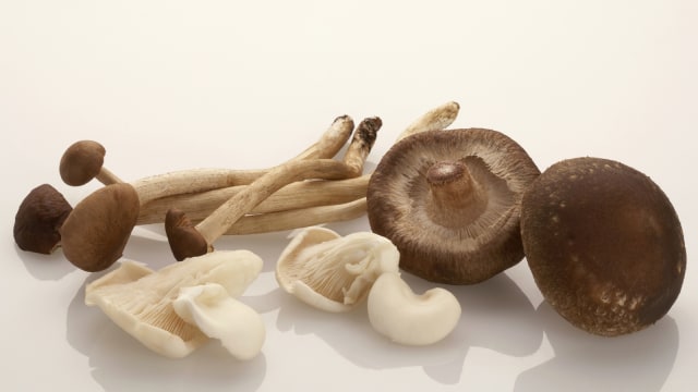 Jamur (Foto: Thinkstock)