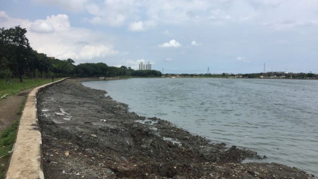 Kondisi Danau Cincin, Jakarta Utara (Foto: Fachrul Irwinsyah/kumparan)