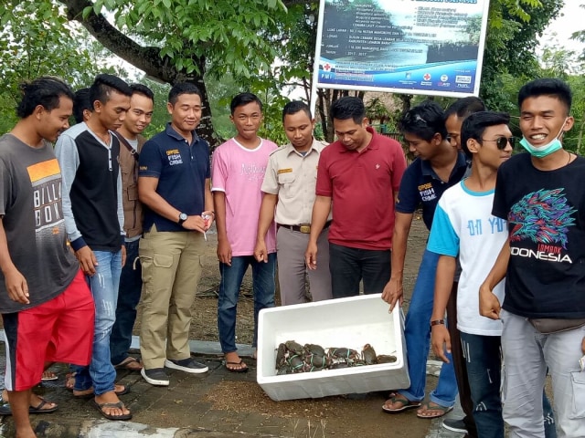 Kepiting Undersize Dilepasliarkan di Kawasan Ekowisata Pantai Cemare, Lombok Barat