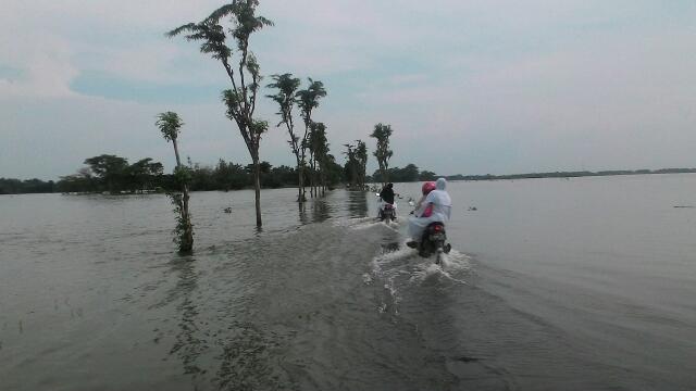 Terendam Banjir, Petani Rengel Tunggu Lahan Persawahan Kering