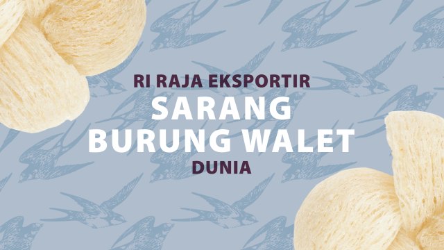 RI Raja Eksportir Sarang Burung Walet Dunia (Foto: Lidwina Win Hadi/kumparan)