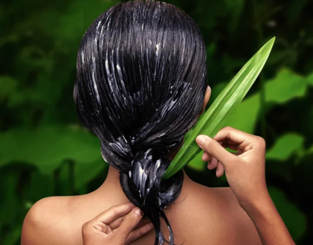 DIY Shampoo Alami Kuatkan Rambut dari Lidah Buaya