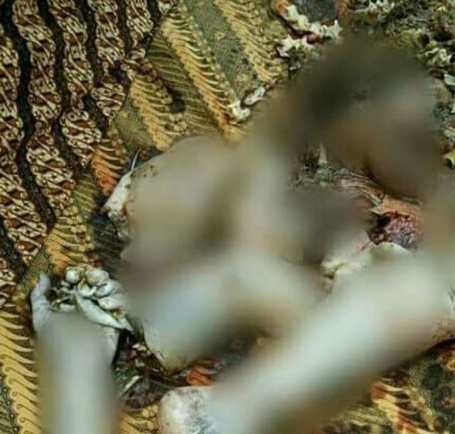 Terciduk Seekor Buaya Memangsa Manusia Di Kutai Timur(Sangata) Kalimantan Timur  (3)