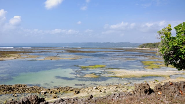 Tepi Pantai Plengkung (Foto: Flickr/Marcos)