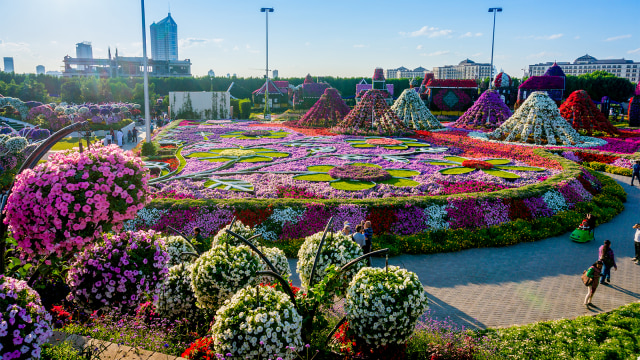 Dubai Miracle Garden (Foto: Flickr / Thomas jonczy)