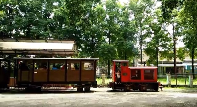 Video: Sensasi Naik Kereta Antik di PG Pangka Tegal