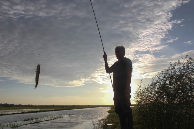 Foto: Asyiknya Maunjun Warga Banjar