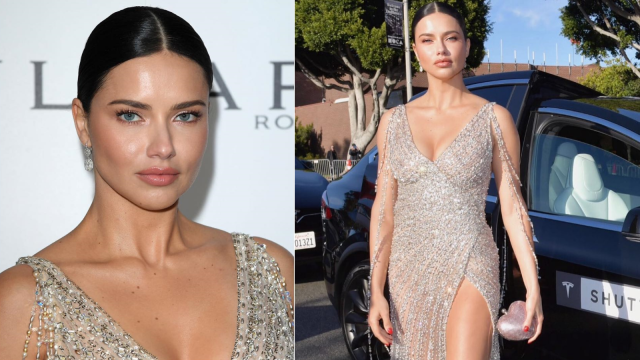 Adriana Lima  (Foto: @adrianalimaa12 - Instagram)