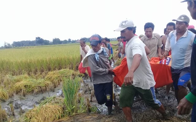 Petani di Brebes Tewas Tersambar Petir saat Hendak Panen