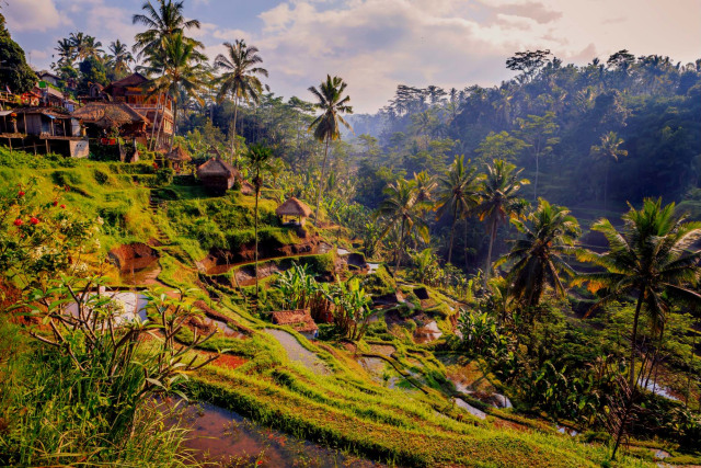 Simak 10 Tempat Wisata Populer dan 5 Kamar Airy Paling Murah dan Paling Strategis di Bali! (5)