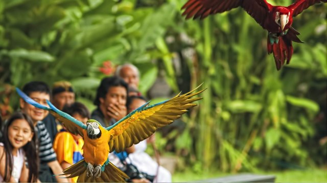 Simak 10 Tempat Wisata Populer dan 5 Kamar Airy Paling Murah dan Paling Strategis di Bali! (7)