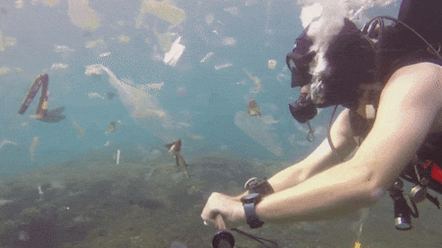 Lautan Sampah di Nusa Penida, Bali. (Foto: Facebook Rich Horner )