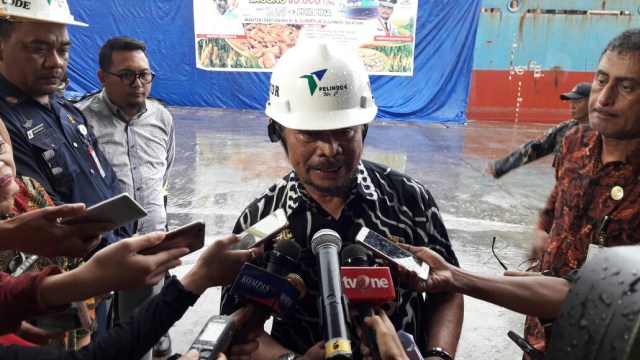Syahrul Yasin Limpo (Foto: Fadjar Hadi/kumparan)
