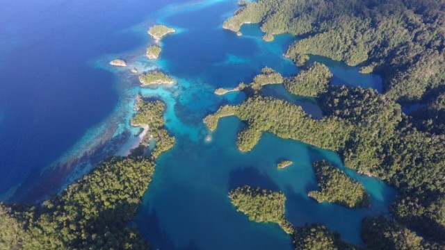 Dongkrak Wisata Bawah Laut, Pemda Halmahera Selatan Promosikan Pulau Pogo - pogo dan Salibay Resort di Deep Dive Expo
