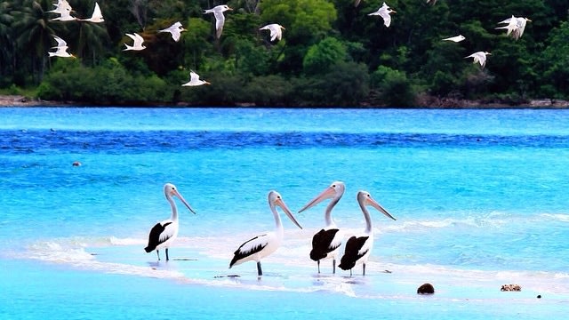 Pantai Ngurtafur (Cover) (Foto: Instagram/@ilhamarch)