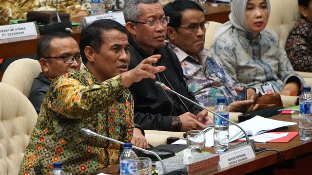 Menteri Pertanian Amran Sulaiman (Foto: Fanny Kusumawardhani/kumparan)