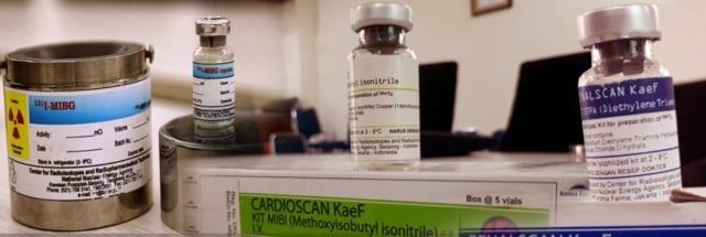 Membangun Negeri dengan Nuklir (2)