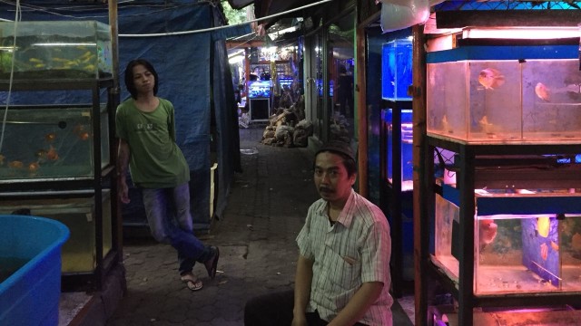 Pasar Ikan Menteng. (Foto: Abdul Latif/kumparan)