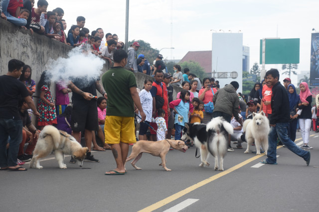 SERUNYA CAR FREE DAY BEKASI (3)