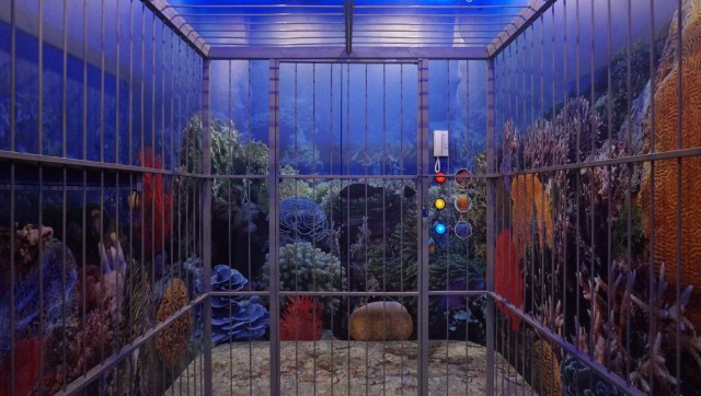 Escape Room SOS from the Deep di Sanur, Bali. (Foto: Intan Alfitry Novian/kumparan)