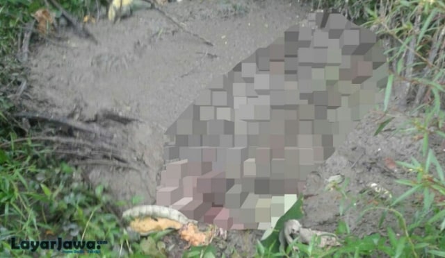 Penemuan Mayat Tanpa Identitas Gegerkan Warga Bulakamba, Brebes