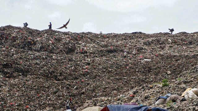 Pekerja di TPST Bantar Gebang (Foto: Iqbal Firdaus/kumparan)