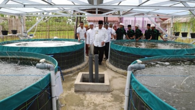 Tuban Integrasikan Peternakan, Perikanan, dan Pertanian