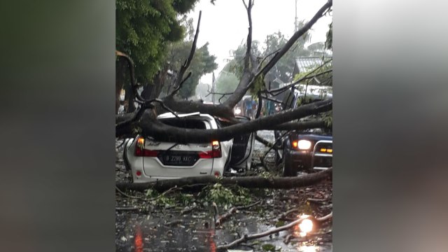 Pohon tumbang dekat PDAM Jatinegara Jaktim. (Foto: Twitter/@TMCPoldaMetro)