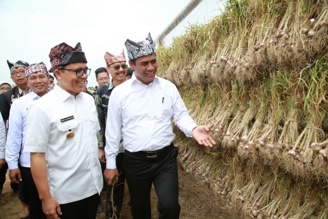 com-Bupati Banyuwangi bersama Menteri Pertanian (Foto: Pemkab Banyuwangi)