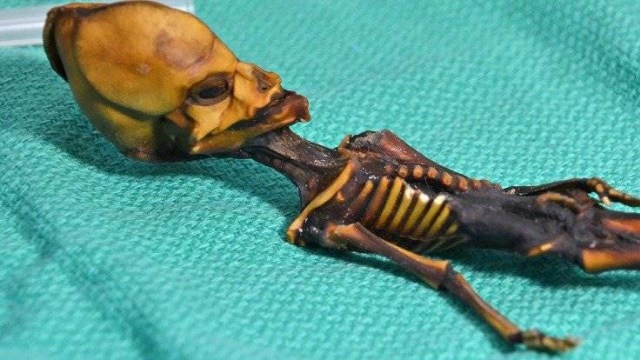 Mumi 'Alien' Atacama (Foto: Bhattacharya S et al. 2018)