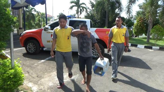 Jual Beli Hewan Langka, Pria Asal Kraksaan Ditangkap Polisi