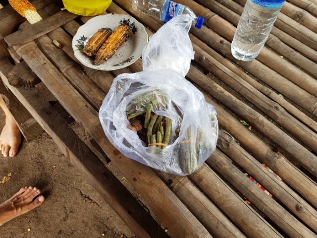 Masih Ada Salura di Selatan Indonesia: Pinang Siri (4)