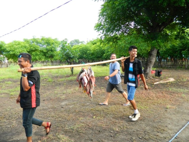 Masih Ada Salura di Selatan Indonesia: Pinang Siri (6)