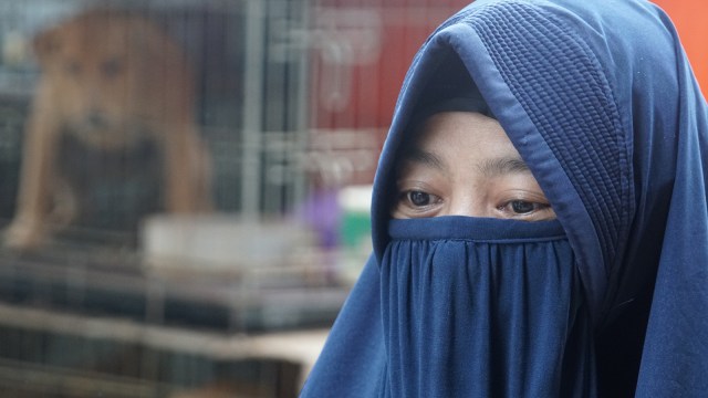 Hesti Sutrisno merawat 11 anjing dan 20 kucing. (Foto: Helmi Afandi Abdullah/kumparan)