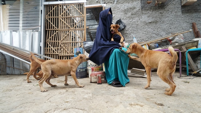 Hesti Sutrisno merawat 11 anjing dan 20 kucing. (Foto: Helmi Afandi Abdullah/kumparan)