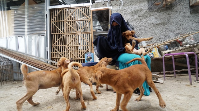 Hesti Sutrisno merawat 11 anjing dan 20 kucing. (Foto: Helmi Afandi Abdullah/kumparan)
