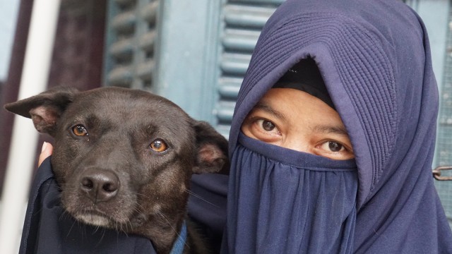 Hesti Sutrisno merawat 11 anjing dan 20 kucing. (Foto: Helmi Afandi Abdullah/kumparan)