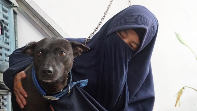 Hesti Sutrisno merawat 11 anjing dan 20 kucing. (Foto: Helmi Afandi Abdullah/kumparan)