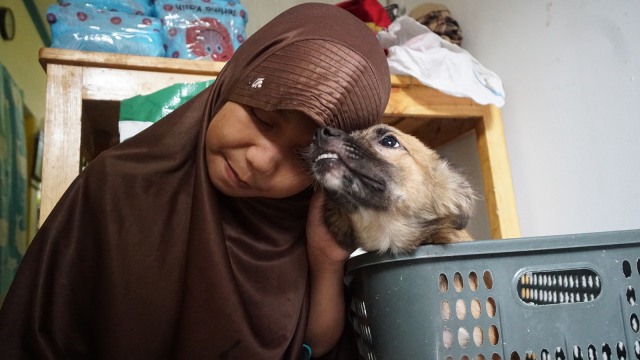 Hesti Sutrisno merawat 11 anjing dan 20 kucing. (Foto: Helmi Afandi Abdullah/kumparan)