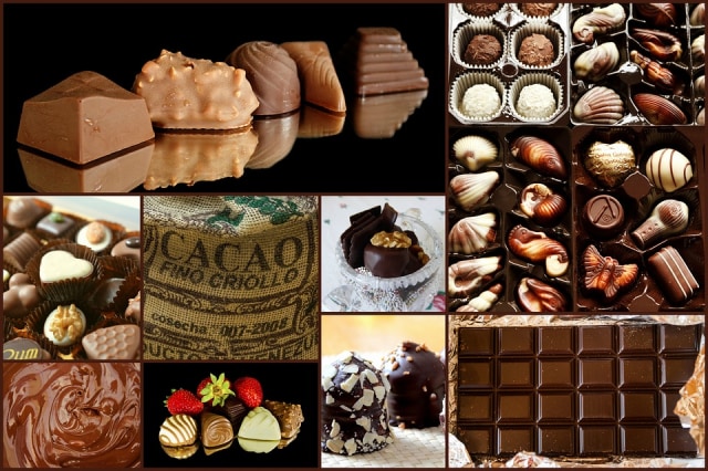 Biji Cokelat: Dari Indonesia untuk Dunia  (1)