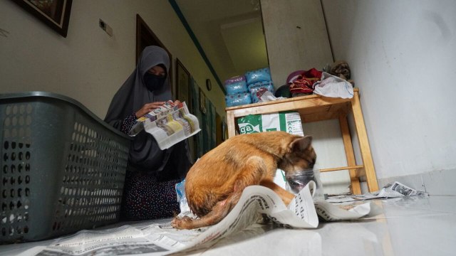 Hesti Sutrisno merawat 11 anjing dan 20 kucing (Foto: Helmi Afandi/kumparan)