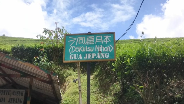 Melihat Sejarah Penjajahan di Gua Jepang Kebun Teh Kaligua Brebes (2)