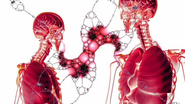 Ilustrasi organ tubuh manusia. Foto: Geralt via Pixabay (CC0 Creative Commons)