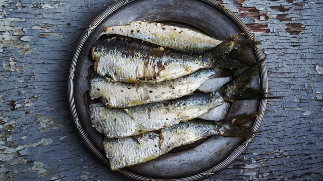 Ikan sarden mengontrol risiko kanker kolorektal. (Foto: Pixabay)