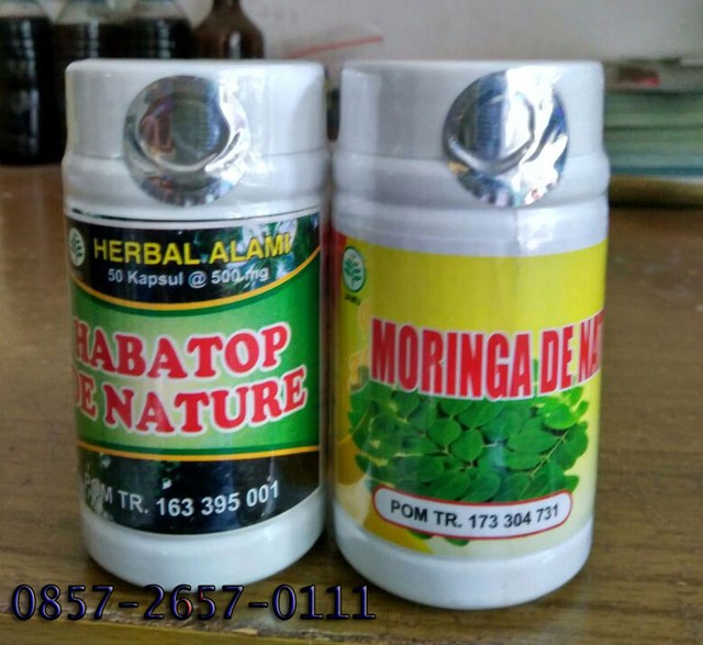 Tanaman Obat Tradisional Kolesterol dan Darah Tinggi Paling Mujarab