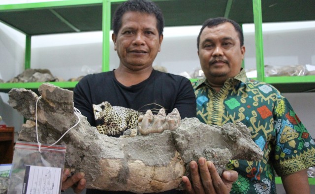 Orang-orang di Balik Penemuan Fosil Purbakala di Brebes