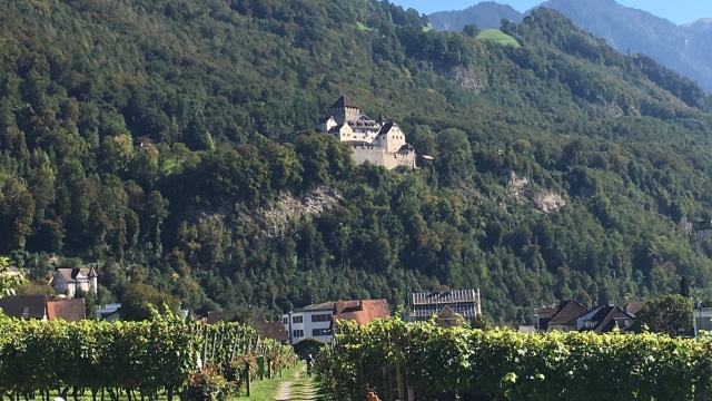 5 Fakta Unik tentang Liechtenstein: Negeri Gemah Ripah Loh Jinawi di Lembah Sungai Rhein