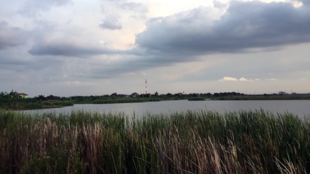 Waduk Rawa Kendal (Foto: Fachrul Irwinsyah/kumparan)