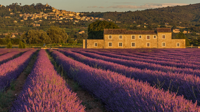 Provence. (Foto: Flickr/Dan Froese)